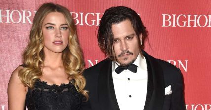 Amber Heard has an estimated net worth of $8 million in 2021.